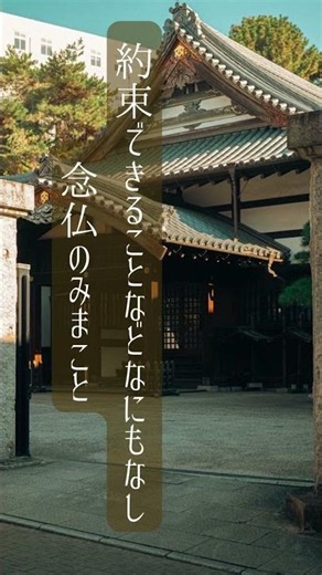 【仏教の言葉】«広尾の上宮寺»「法語カレンダー」(真宗教団連合)より #浄土真宗 #言葉#本願寺 #仏教 #仏教思想#一切皆苦#煩悩#苦悩#救い#本願寺派#大谷派 #名言