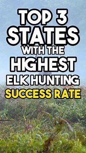 Top 3 States with the highest Elk success rate Let us know in the comments what else you want to know about Elk. All statistics taken from this video are cited from the extensive research below from the 2020 season: https://www.backcountrychronicles.com/western-state-elk-harvest-comparison/ 🦌Follow us for more videos on elk and deer hunting. Submit trophy photos from this hunting season and receive a $10 coupon to our store. If you are looking for a new way to hunt in blaze orange 🟧, checkout 