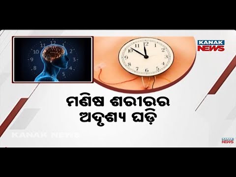 The Human Body's Invisible Clock: Regulating Your 24-Hour Daily Life