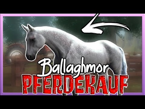 Wir KAUFEN ein *neues* PFERD 🐴🤍 in FEI Equestriad World Tour