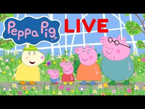 🔴 LIVE 6 hours of Peppa Pig - Non Stop Cartoons