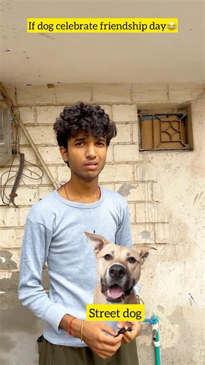 Wait for street dog🥺 #shorts #trending