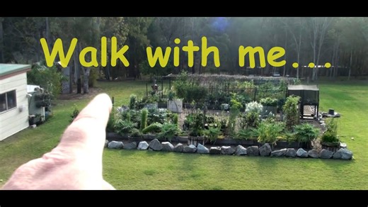 Walk with me vegetable garden allotment subtropical start of spring