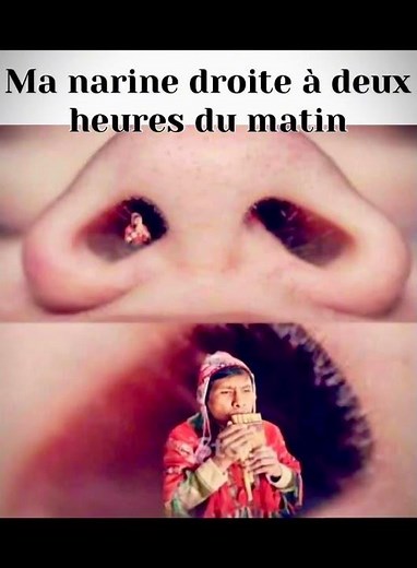 Préparez-vous à rire avec notre compilation hilarante de mêmes de chats et d'animaux et autres ! 🐾