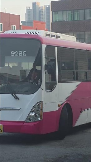 (친절기사님) 거창고속 삼천포-임포(고성하일면) 완행 노선 14년식 삼천포터미널 발차영상