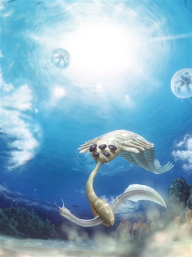 Exploring the Cambrian Period: A Paleontology Journey