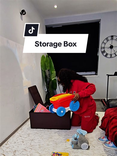 Effective Storage Solutions: Multi-Purpose Storage Box