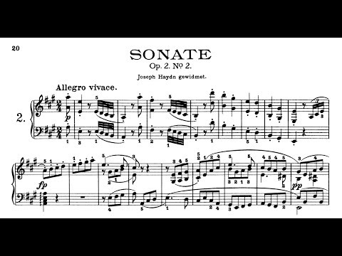 Ludwig van Beethoven - Piano Sonata No. 2 in A Major, Op.2 No.2 (Pletnev)