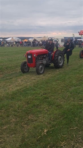Massey Ferguson MF 835 vineyard vintage tractor parade and commentary Southwell ploughing match 2025