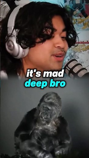 KOKO the gorilla’s last message 😢 #jumpersjump #gorilla #podcastclips