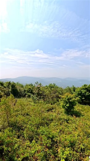 Summer 2025 on the Taconic Crest, Petersburg Pass. Western Mass Hilltown Hikers Visit the Berkshires of Western Massachusetts Massachusetts Office of Outdoor Recreation Visit Massachusetts Explore Western Mass #hikethehilltowns with the #westernmasshilltownhikers #hilltownhistory #hilltownhikersadventures #discoverthehilltowns #intheberkshires #hiking #visittheberkshires #hilltownhikers #hikingwithdogs @topfans SEE MORE and become a member at www.hilltownhikers.com Support us at --> https://hill