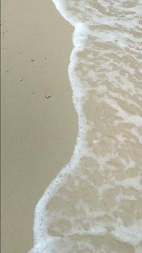 Tranquil morning with a relaxing soundwaves