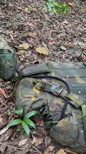 73 reactions · 9 comments | A monkey threw shit on us  This was one...