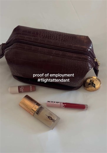 Life as a Flygirl: A Flight Attendant's Journey