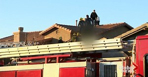 Calgary skydiver killed after crashing into California home during wingsuit competition | Globalnews.ca