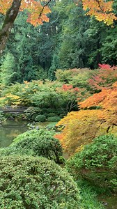 Don’t miss fall colors at Portland Japanese Garden | Portland Japanese Garden
