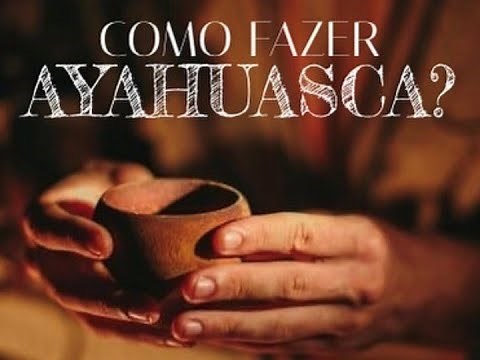 Como preparar Ayahuasca (Produzir mudas de Jagube e Chacrona)
