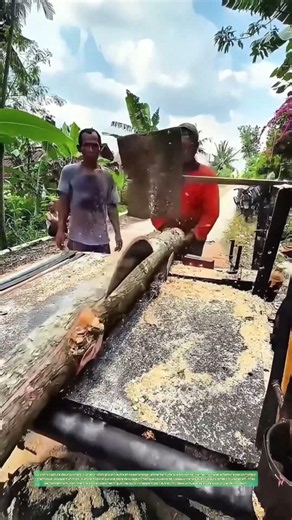 Fendre le tronc:comment une lame circulaire démultipliée transforme un arbre en planches en passage