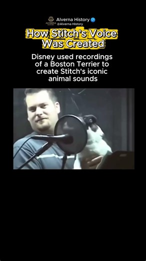 The Secret Behind Stitch's Sounds 🤯