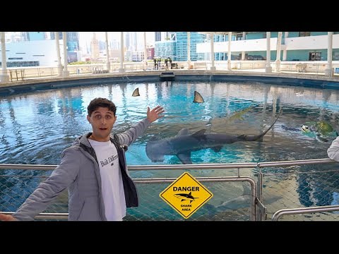 This Is The Most EXPENSIVE Aquarium Ever Built!