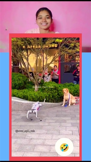 dog and robot 🤣#shorts