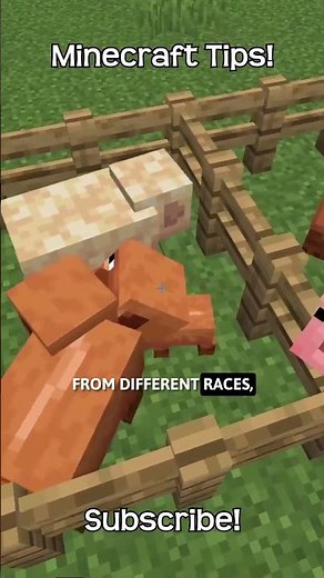 What Happens When You Breed Different Variant Pigs In Minecraft?!
