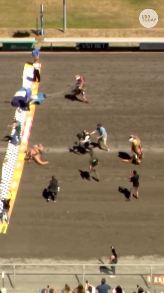 Hilarious inflatable T. rex race draws hundreds of contestants