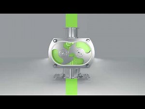 How do rotary lobe pumps work?