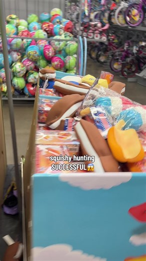Squishy Hunting Successful: Jumbo Squishy Finds & Tips