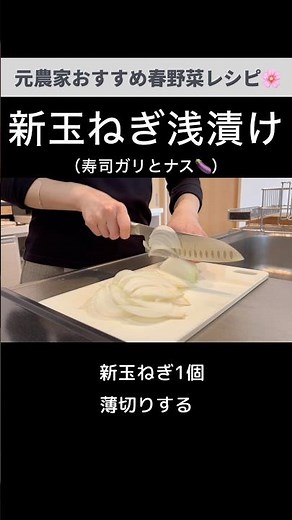 新玉ねぎとナスとガリの浅漬け🍆🍣ガリはお好みの量でOK
