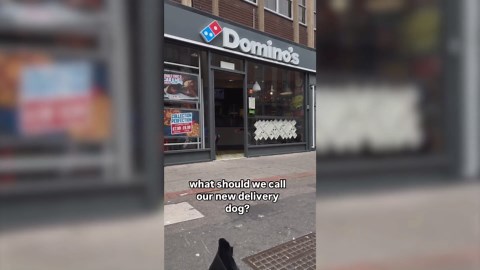 Domino's test robot dog to deliver pizzas