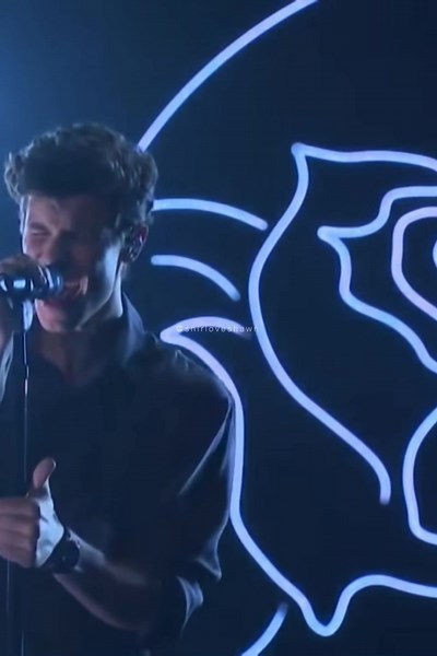 Shawn Mendes Perfectly Wrong Live Performance