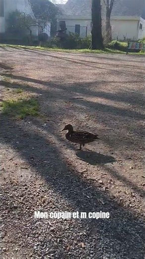 mon copain ma copine