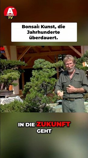 How Bonsai Trees Live Over 100 Years 🌳