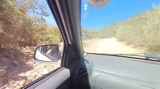 Wilma De Goede on Reels