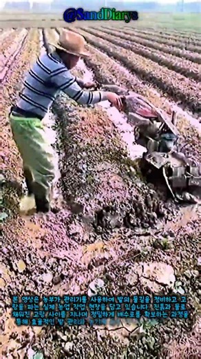 진흙탕도 문제없는 베테랑 농부의 완벽한 관리기 운용 기술 #worker #process #skills #tractor #muddy