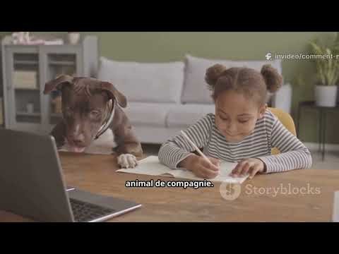 La meilleure astuce pour réviser sans stress !