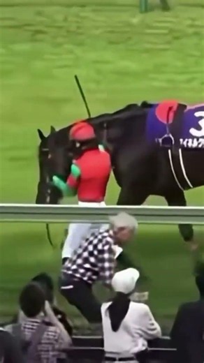 حصان سباق اسطورى فى اليابان يبعث برسالة اعتزال الى الع