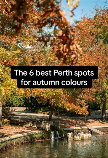 Perth’s autumn colours are finally here! 🍁 We’ve rounded up 6 of the prettiest spots around the city to enjoy the fleeting autumn colours (and snap a few cute photos while you're at it). The season only lasts a few short weeks so grab your camera, a coffee, and hit these vibrant leafy spots before the colour fades! 🍂 1. Subiaco Common: A gorgeous park space all year round, but in autumn, the leafy avenue along Mere View Way turns golden and gorgeous! It’s one of Perth’s best autumn selfie loca