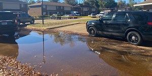 2 killed in separate Bainbridge shooting incidents