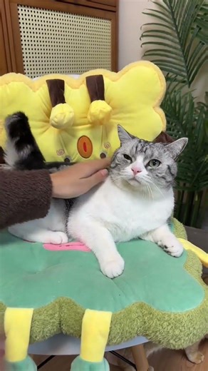 Our cute standout bag turns three today. All things cute project. Exchange a spring photo of you