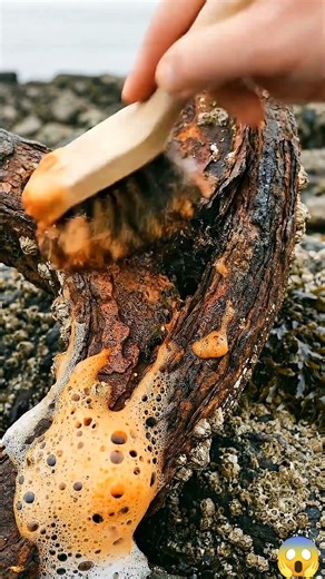 Rust removal Spray part 7 #rust #new #cleaning