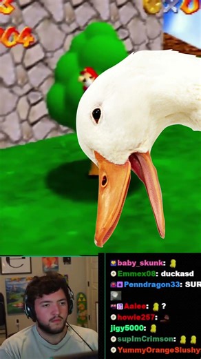 An offer you can't miss