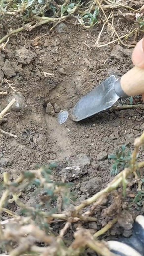Nice silver coin. #metaldetecting | GO finder