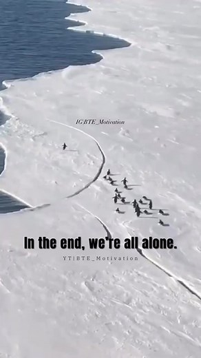 9.3K views · 117 reactions | Daily Hadith on Reels | Facebook