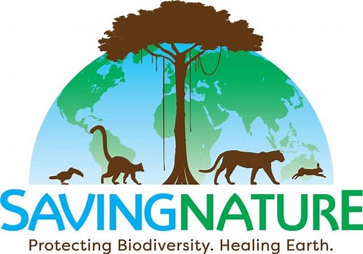 About Saving Nature | Saving Nature