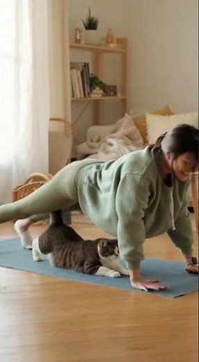 Cat Yoga: The Ultimate Zen Feline | Relaxing & Funny Yoga Moments 🧘🐱"