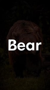 Graphic Design || Logo Designer Looking for a premium logo and a brand that stands out? We're a full-service branding agency specializing in: * Logo Design * Branding & Strategy * Web Design * Social Media Growth Let us help you build a strong visual identity that connects with your customers. Ready to get started? Contact us today to discuss your project! 📥 #logodesign #brandingagency #webdesign #logo #logos #socialmediagrowth #brandidentity #logomaking #smallbusiness #USA #facebookpost #logox