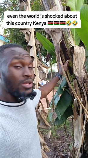 Exploring Kenyan Culture Through Local Traditions