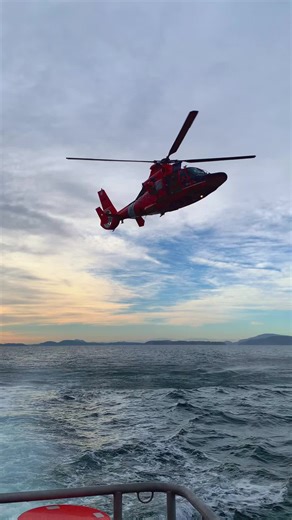 Understanding the Role of the Coast Guard in Aviation